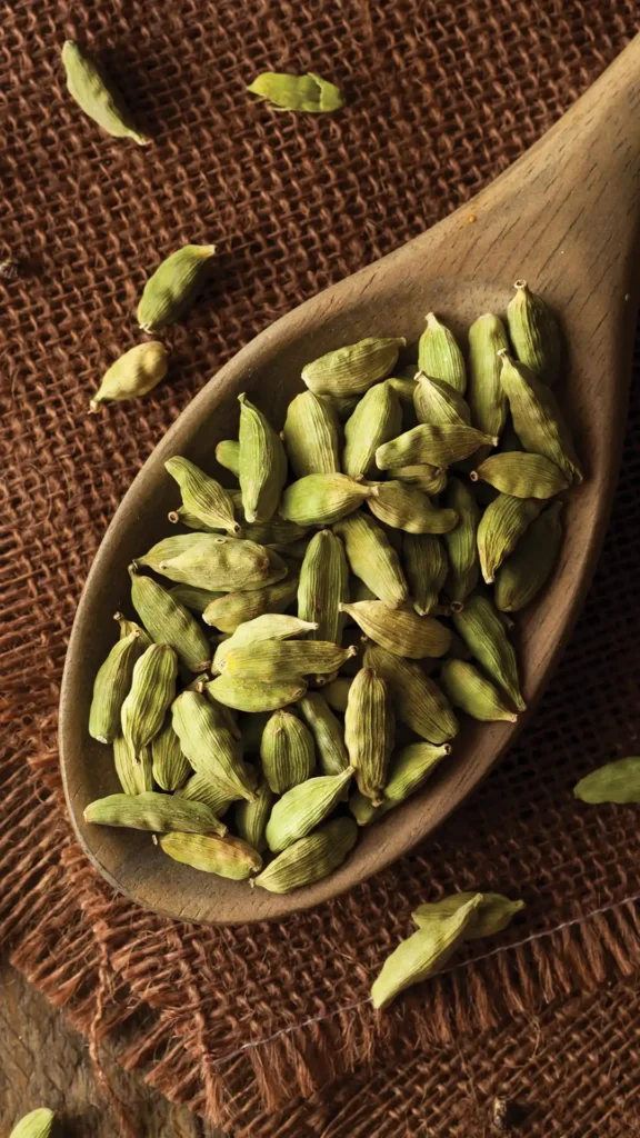 Cardemom-576x1024